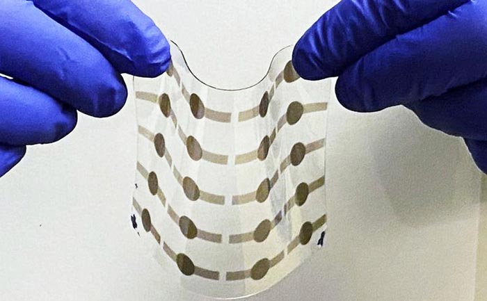 Durable material for flexible artificial muscles - Innovations Report