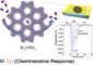 Porous Crystals Detect Nitric Oxide