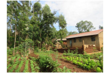 A smallholder farm in Vihiga County in Western Kenya.