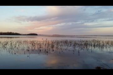 Microbial Evolution in Lake Mendota: Seasonal Dynamics Revealed