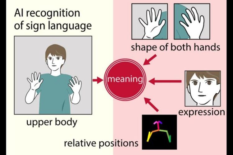 AI system analyzing subtle hand and facial gestures for sign language recognition.