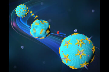 DNA origami structures controlling biological membranes for targeted drug delivery