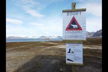 Researcher Claudia Schmidt analyzing Arctic fjord water samples affected by glacial melt.